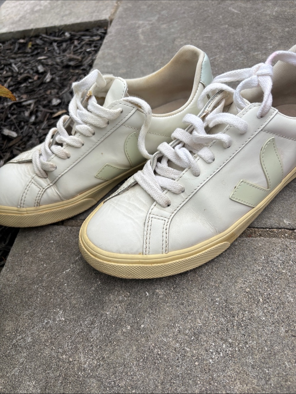 Veja Women Cream Leather Sneakers with Pale Green V